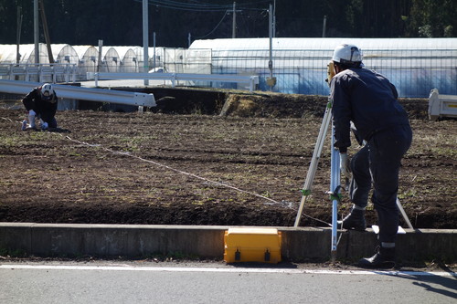 実際の画像